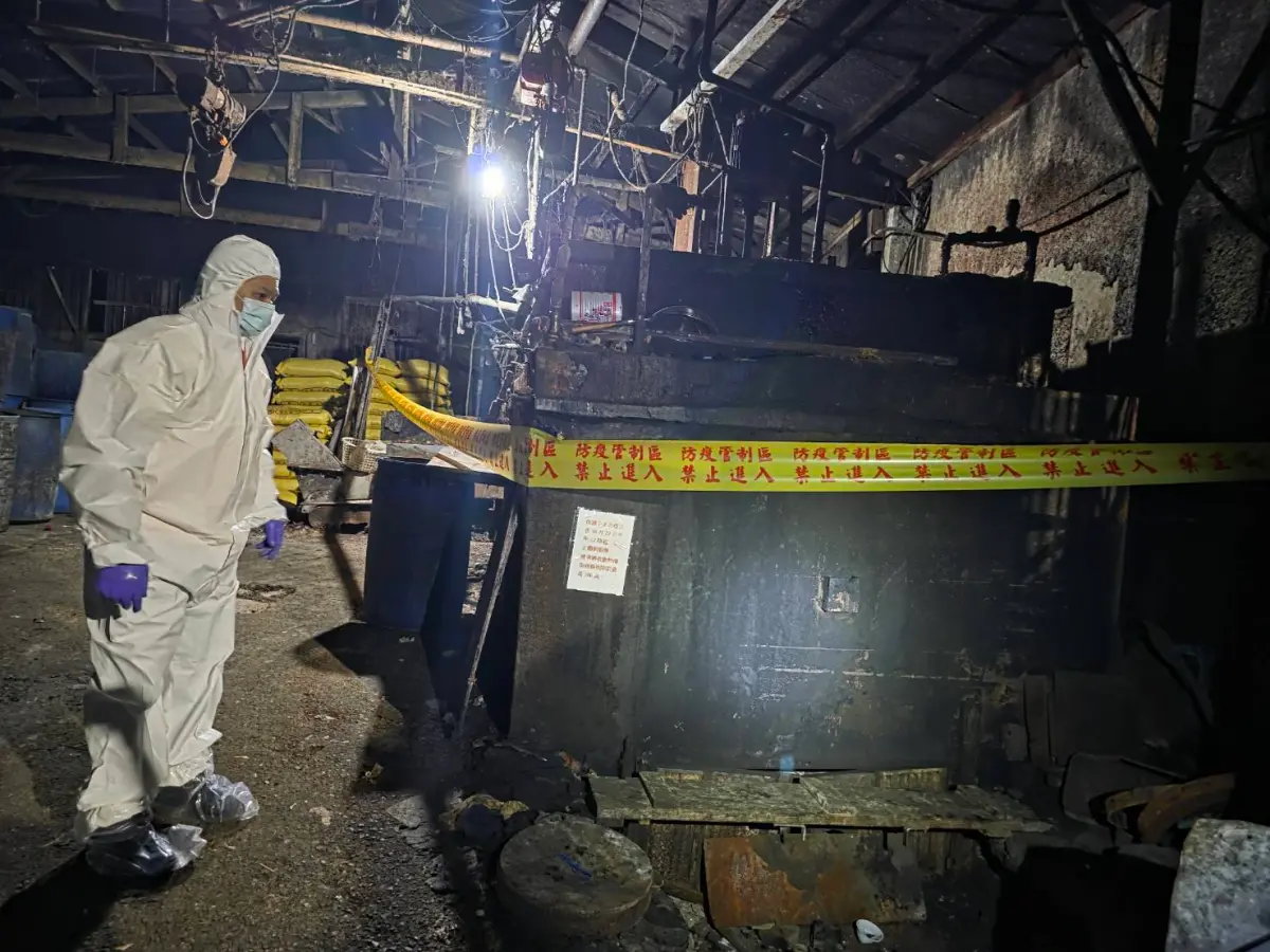 ▲農業局30日主動聯合稽查小組，到泰山區一處養豬場稽查，發現場內廚餘蒸煮槽及飼料槽皆留有廚餘。（圖／新北市府提供）