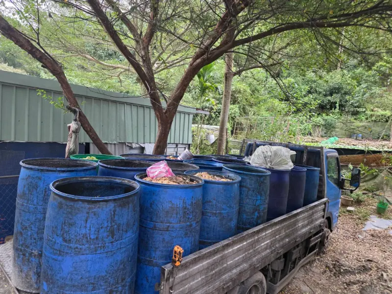 家戶廚餘停止餵豬！收運新制一次看懂　丟錯垃圾拒收再噴6000元