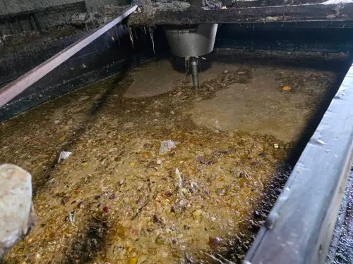 ▲泰山區一處養豬場場內廚餘蒸煮槽和飼料槽留有廚餘，明顯違反規定。（圖／新北市府提供）