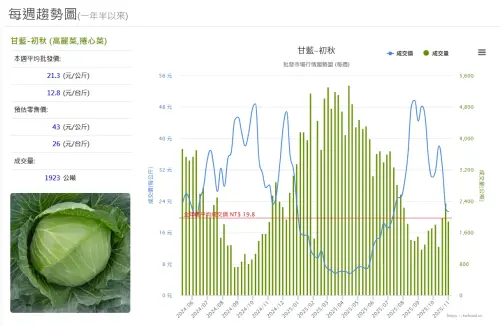 ▲高麗菜（甘藍）價格持續滑落，本周平均批發價來到每公斤21.3元。因先前超種，價格可能在11月再下跌。（圖／當季好蔬果網站）