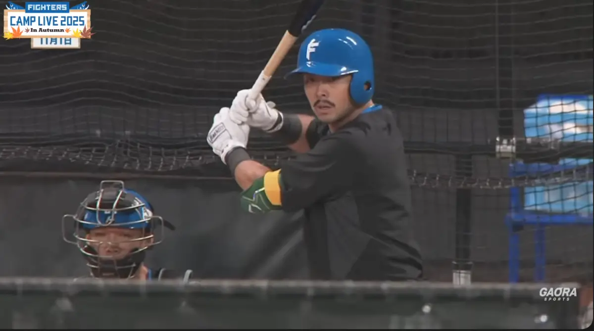 影／解析林家正打擊動作 富邦前日籍教練發現問題：力量提前流失