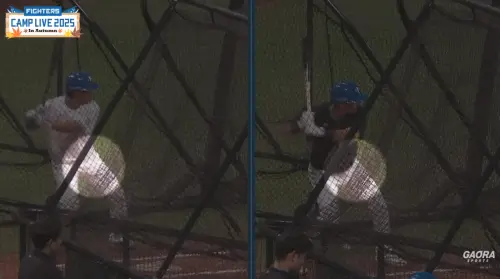 ▲稻田直人在轉播中，點出林家正（右）與吉田賢吾（左）的打擊動作差異。（圖／截圖自Gaora Sports官方Youtube）