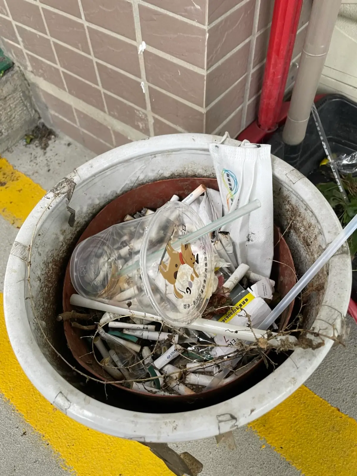 國民黨全代會結束留下滿地煙蒂！他驚：黨員在學校裡吞雲吐霧