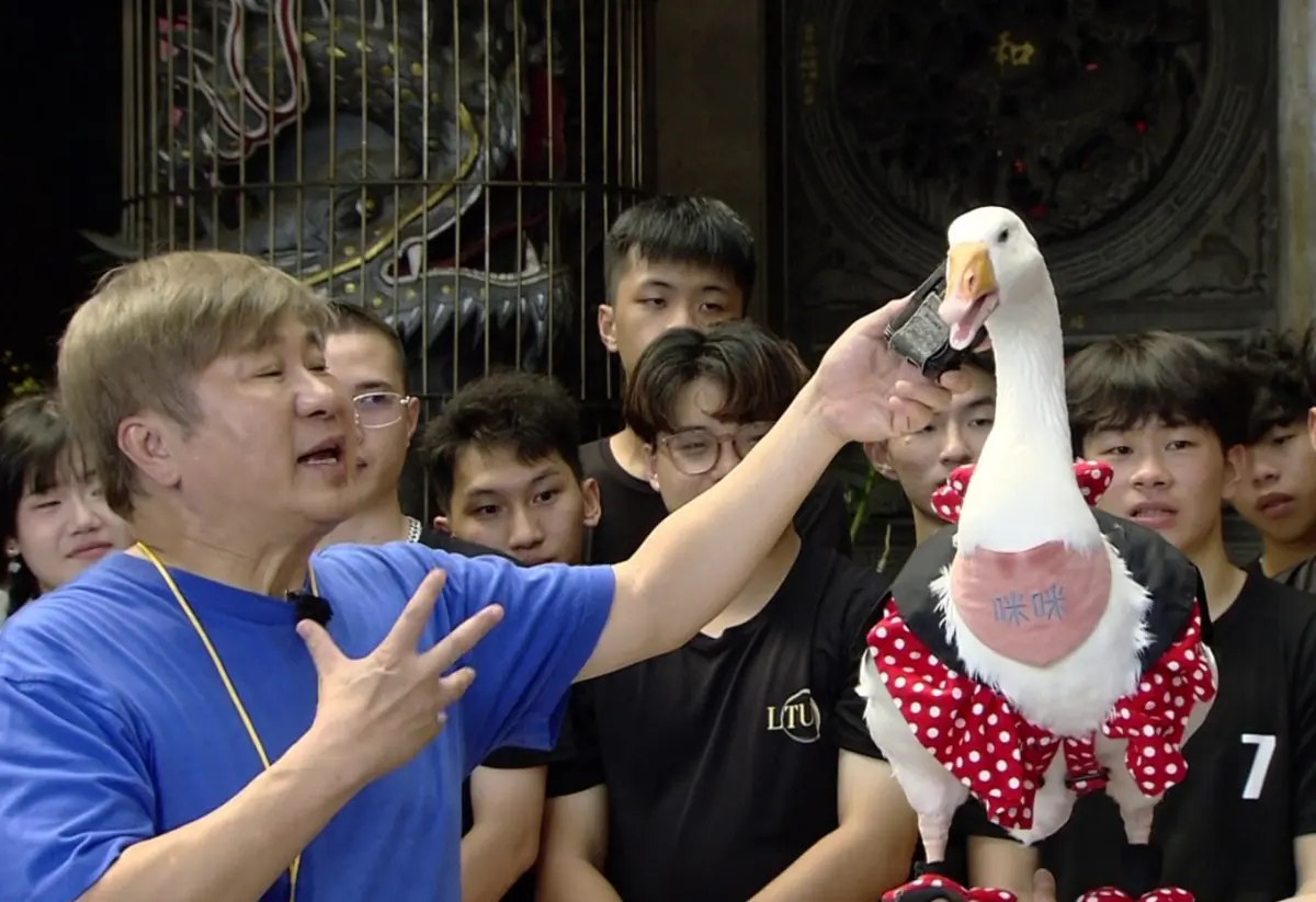 ▲胡瓜（左）在台中大里瑞和宮錄製《綜藝大集合》，遇到神鵝突襲，問牠最喜歡誰，竟發出呱呱聲，讓他很得意，全場觀眾看了笑翻。（圖／民視提供）
