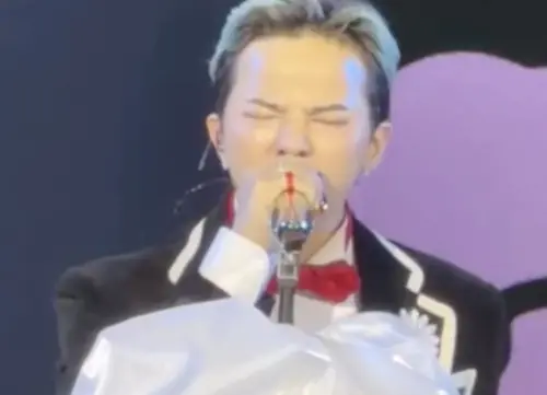 馬來西亞首相瘋GD！全民敲碗「要看影片」　PO文喊：KpopForever
