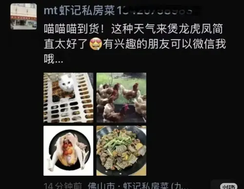 「喵喵到貨」惹禍！佛山餐廳宰活貓煮「龍虎鳳」　民眾：太噁心了
