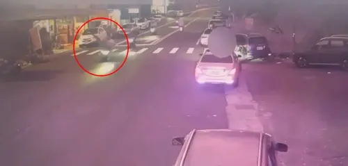 為救流浪貓喪命...苗栗老婦疑闖紅燈遭2機車撞死　兒心碎目睹全程
