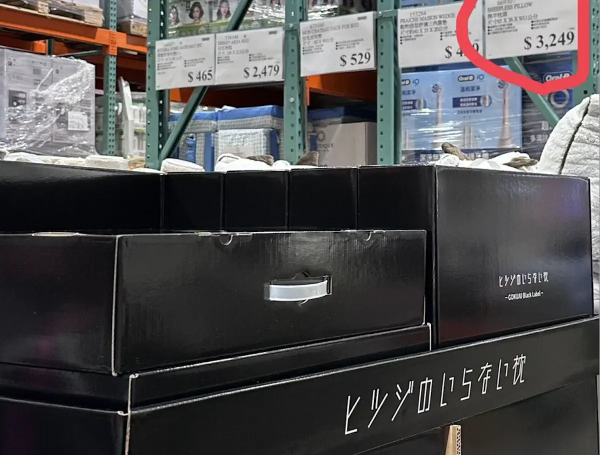 ▲台灣好市多（Costco）近期上架日本爆紅的「無羊枕頭」，一顆枕頭含包裝重達4.6公斤，引來日本旅遊達人、前台大感染科醫師林氏璧發文分享。（圖／翻攝自林氏璧臉書粉專「日本自助旅遊中毒者」）