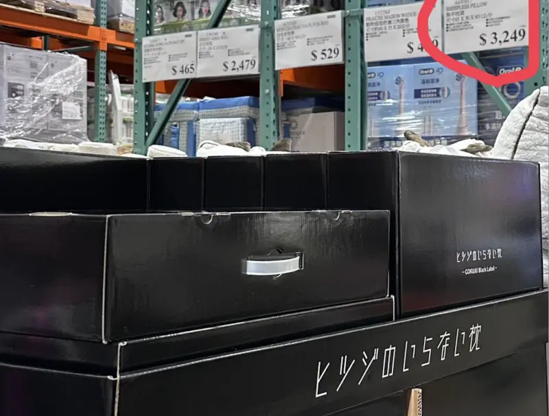 ▲台灣好市多（Costco）近期上架日本爆紅的「無羊枕頭」，一顆枕頭含包裝重達4.6公斤，引來日本旅遊達人、前台大感染科醫師林氏璧發文分享。（圖／翻攝自林氏璧臉書粉專「日本自助旅遊中毒者」）