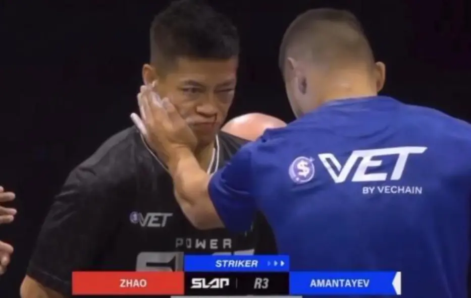 ▲祁家通背拳第九代傳人趙鴻剛在職業打耳光大賽被打趴。（圖／取自網路）