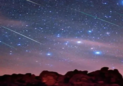 ▲獅子座流星雨有「速度極快、常留下明亮的尾痕」等特性，今年極大期在11月17日。（圖／NASA）