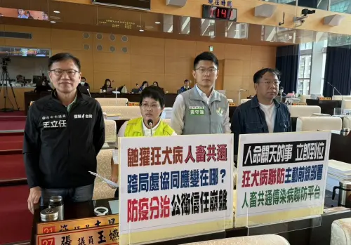 中市鼬獾狂犬現蹤　議員批防疫分治亂象
