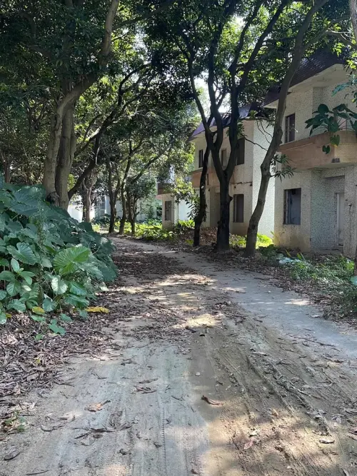 ▲（圖／翻攝自阿里法拍）