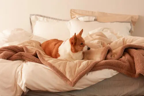 ▲WARM TOUCH 石墨烯保暖雙人暖毛絨雙面毯。（圖／HOLA提供）