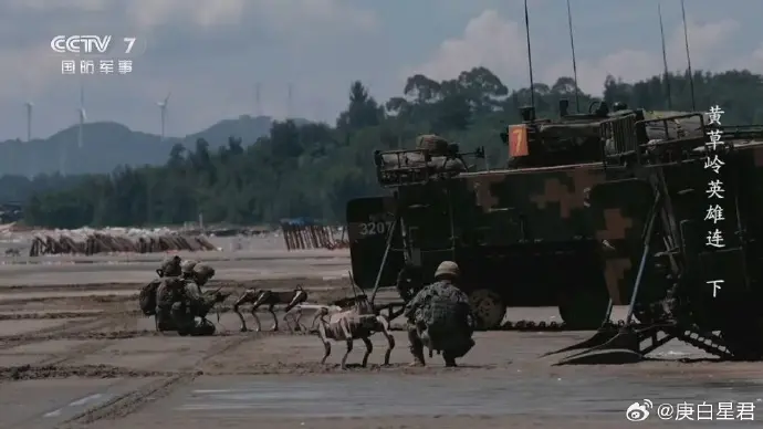 ▲「黃草嶺英雄連」搶灘登陸演習首次將狼型機器狗投入到實際戰術行動中。(圖/翻攝自微博)