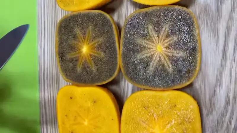 ▲黑糖柿與一般柿子的顏色差異相當明顯，但不知情的人很可能會誤以為是壞掉了。（示意圖／YT@啵仔果物本舖）