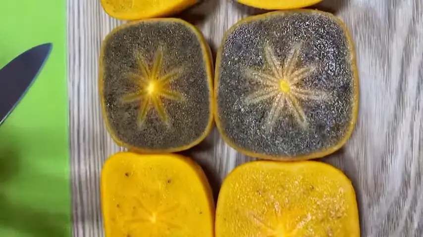 ▲黑糖柿與一般柿子的顏色差異相當明顯，但不知情的人很可能會誤以為是壞掉了。（示意圖／YT@啵仔果物本舖）