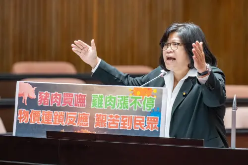 ▲綠委王美惠今（4）日在總質詢中，針對非洲豬瘟衝擊民生、老年基本保證年金太低，與中國滲透威脅等3大議題，要求行政院提出具體對策。（圖／王美惠辦公室提供）