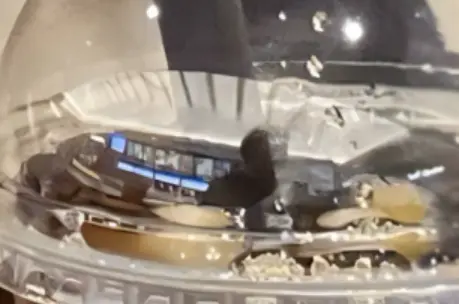 ▲有粉絲網友扮演起柯南，將藤咲梓看電影的照片放大再放大，終於在可樂杯上看到一個疑似男性的身影。（圖／X@azu_heroines）