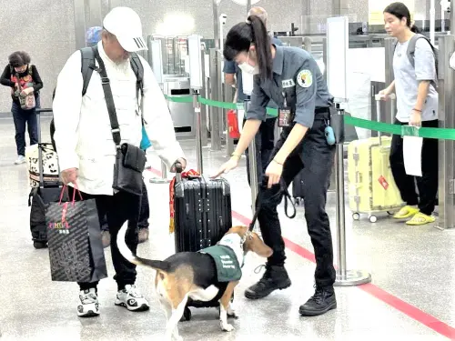 ▲關務署高雄關全力加強金門小三通查緝非法農畜產品及活體動物，以防堵非洲豬瘟入侵。(圖／關務署高雄關提供)