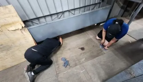 ▲八里工廠的牆壁不斷傳出貓叫聲，新北動保處接獲通報到場提供協助。（圖／新北市動保處）