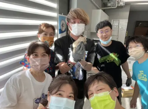 ▲小貓被救出後不用再流浪，瞬間晉升為全工廠眾人愛戴的小小貓少爺！（圖／新北市動保處）