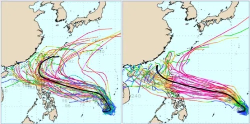 ▲最新(4日20時)歐洲(ECMWF左圖)及美國(GEFS右圖)系集模式模擬顯示，鳳凰的系集平均路徑(粗黑線)皆在台灣附近北轉，但各別模擬路徑(細線)分布在兩側，雖然調整得較為收歛、仍很分散。（圖／氣象應用推廣基金會．洩天機教室）