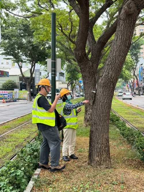 ▲捷運局表示，藉由AI智慧路樹監測系統即時告警功能，不僅能大幅縮短災害應變時間，也能減少人力巡查需求。（圖／高市府捷運局提供）