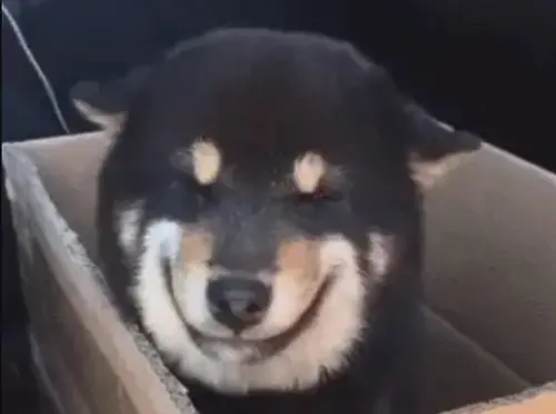 ▲（圖／翻攝搜狐網）