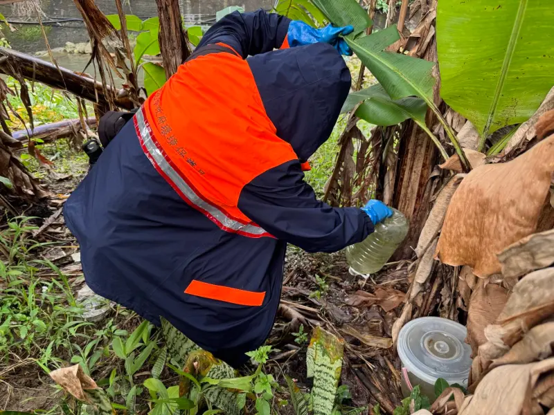 新北爆今年首例本土登革熱！感染源待釐清