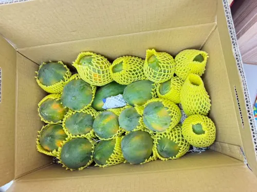 ▲北市衛生局抽驗生鮮蔬果檢驗殘留農藥，114年9月共計抽驗51件蔬果產品，檢驗結果11件產品不符規定，不合格率21.6%。（圖／北市衛生局）