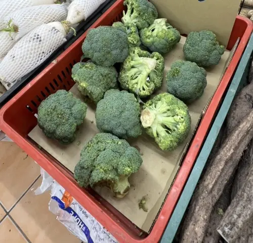 ▲北市衛生局抽驗生鮮蔬果檢驗殘留農藥，114年9月共計抽驗51件蔬果產品，檢驗結果11件產品不符規定，不合格率21.6%。（圖／北市衛生局）