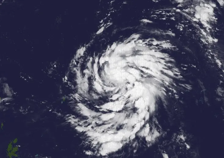 ▲鳳凰颱風今（6）日凌晨2時生成，未來將經過充滿能量的海域持續增強，抵達菲律賓呂宋島時各國預估至少是中颱上限，不排除成為強颱。（圖/CIMSS熱帶氣旋小組官網）