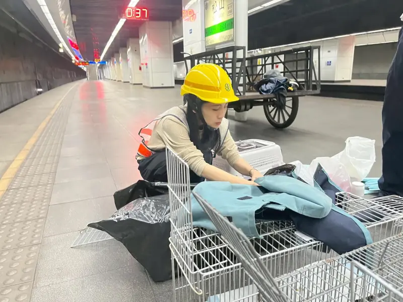 救喵總動員！15歲老貓松山車站落軌消失　徐巧芯半夜不睡協助誘捕