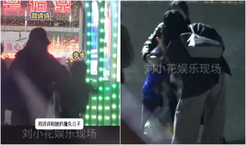 ▲劉詩詩、吳奇隆6歲兒子超皮！女神帶娃也崩潰　狂追小孩踉蹌跌倒（圖／微博＠劉小花娛樂現場）