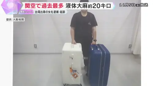 緝毒犬立功！台女走私20kg液態大麻被「嗅出異樣」　關西機場遭逮
