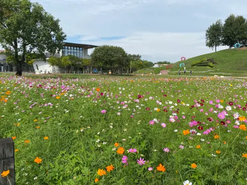 台中最浪漫打卡點　后里環保公園雙色秋景超療癒
