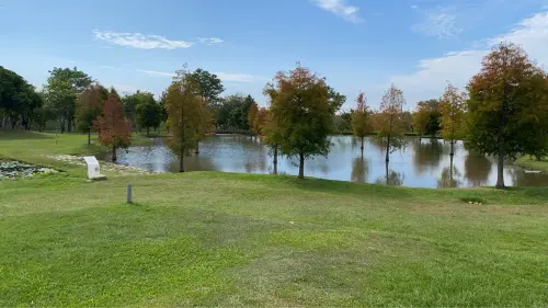 ▲如詩意般的美景，就在后里環保公園(圖／建設局提供2025.11.7)
