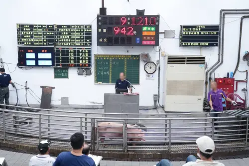 ▲台中市大安肉品市場今天恢復毛豬交易，開盤價格穩定。（圖／台中市政府提供，2025.11.07）