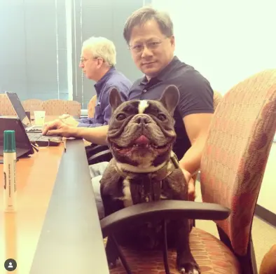 ▲輝達總部開放員工帶狗狗上班，黃仁勳也曾與狗狗同桌開會。（圖／翻攝自IG／ninjeeee）