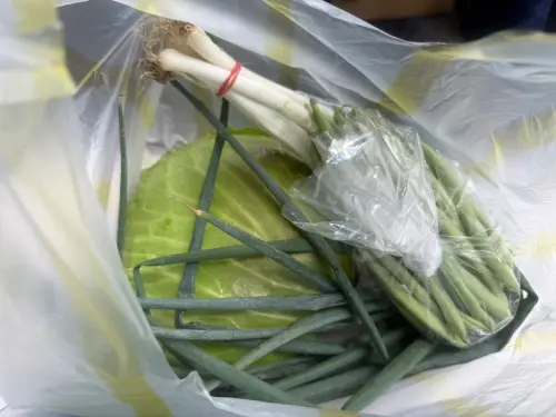 ▲高麗菜,蔥（圖／記者周淑萍攝）