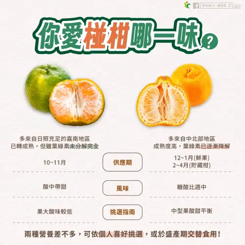 ▲農糧署近期製作了食農知識教育懶人包，讓民眾一圖看懂綠色椪柑、橘色椪柑的口感、主要產地與盛產季節差異。（圖／農糧署）
