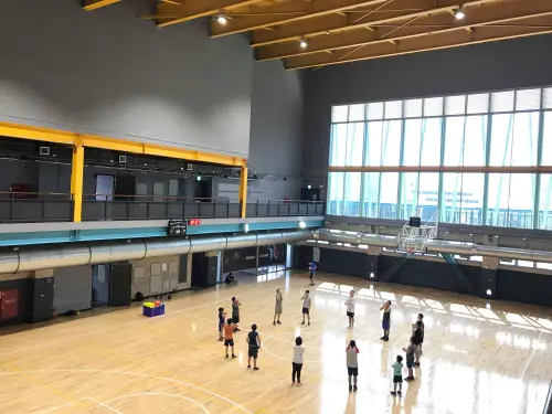 ▲雲豹將目光投向在桃園巨蛋附近的桃園國民運動中心，圖為桃園國民運動中心4樓的籃球場。（圖／取自桃園國民運動中心官網,https://tycsc.cyc.org.tw/sportscenter/14）