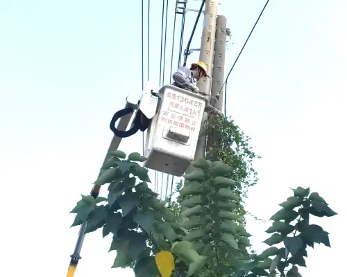 ▲台電公司高雄區營業處針對高雄地區轄區內樹木進行修剪。(圖／台電高雄區營業處提供)