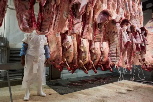 南非牛肉遭中國封殺！肉商斥經濟自殺　台灣不買盼闖亞洲市場
