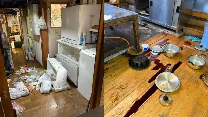 日本熊襲場面可怕！巨熊一掌打凹引擎蓋　抓破紙門、亂翻冰箱