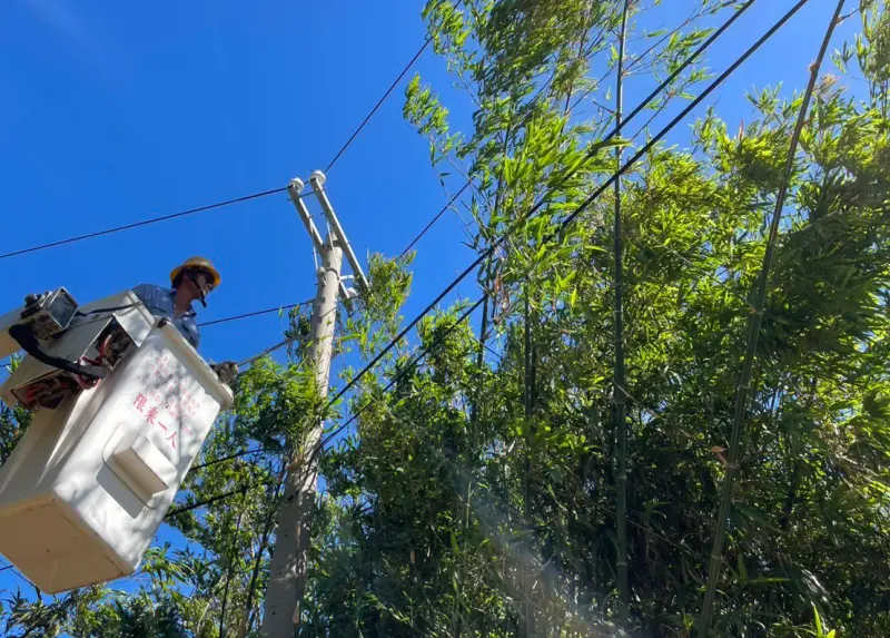▲台電5日即啟動防颱整備作業，全面加強鄰近供電線路樹竹修剪。（圖／台電提供）