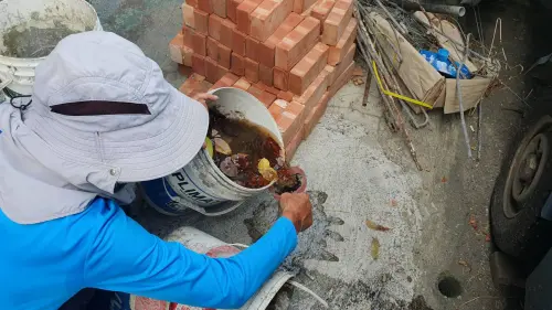 屏東萬丹出現本土登革熱病例！確診個案疫調出爐　衛生局急清消
