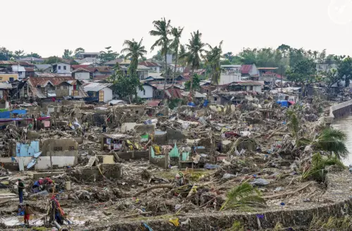 樹木連根拔起！鳳凰颱風肆虐完菲律賓　逾9萬人躲臨時避難所
