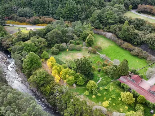 ▲武陵農場公布，將自明（11）日下午2時起實施休園措施，場區暫停對外開放。（圖／武陵農場提供https://www.wuling-farm.com.tw/tw/index.php）